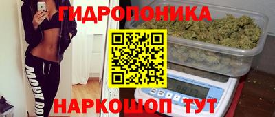 apvp Лесосибирск