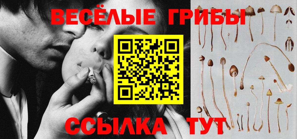 Димитровград  даркнет сайт  Вход с VPN  Галлюциногенные грибы MAGIC MUSHROOMS 