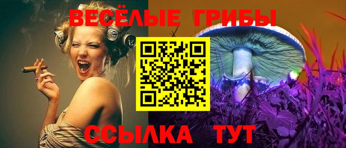 Псилоцибиновые грибы прущие грибы Димитровград