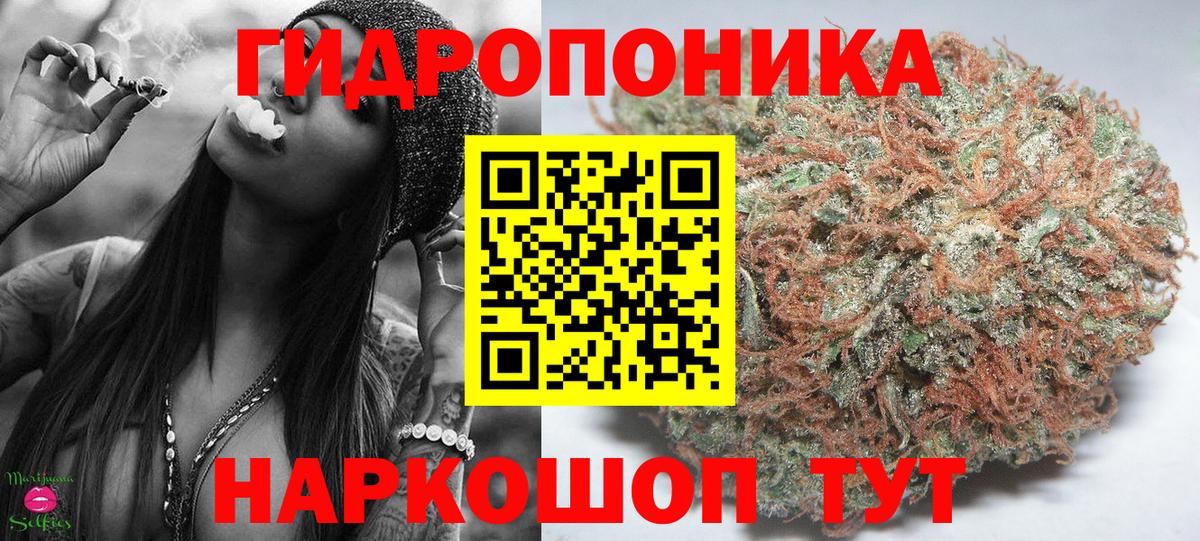 Марихуана Bruce Banner Димитровград